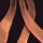 Spineguard.png