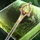 The Art of Woodworking- Staff Shaft Edition Vol. 2.png