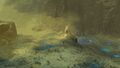 Thumbnail for version as of 03:01, 4 August 2025