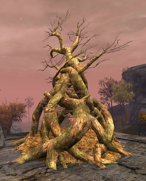User Heillos Harpy Nest (Plains of Ashford).jpg