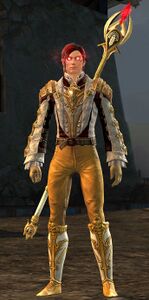 White Mantle Elementalist male.jpg