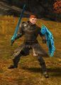 Ascalonian Fighter alt2.jpg
