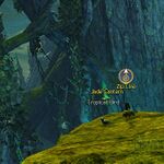 Lighting Echovald location 33.jpeg