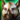 Mini Griffon Mount.png