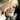 Mini Wolfborn Berserker.png