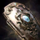 Officer's Remnant Shield.png