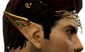 Appearance on humans/norn.