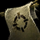 Writ of Basic Accuracy.png