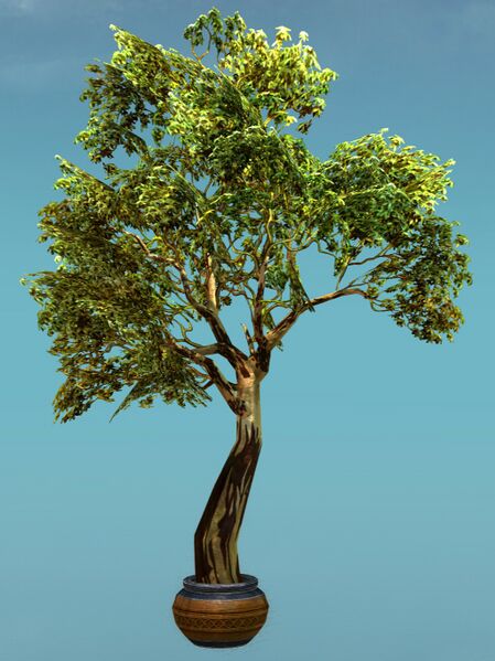 File:Basic Tree.jpg