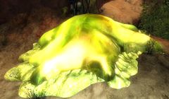 Blighting Pod2.jpg