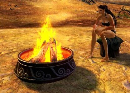 Campfire Chair norn female.jpg