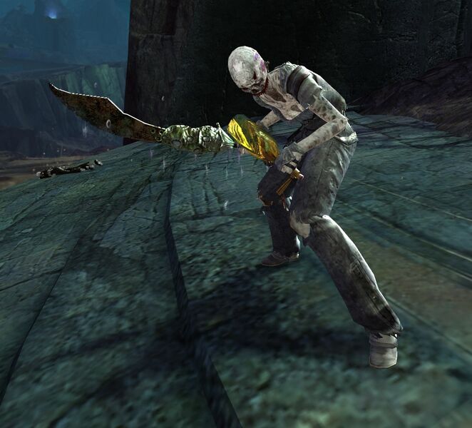 File:Champion Risen Captain.jpg