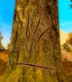 Charr trail sign - fire.jpg