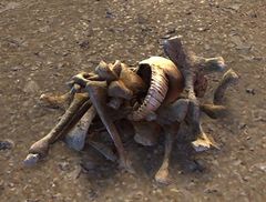 Dusty Bones.jpg