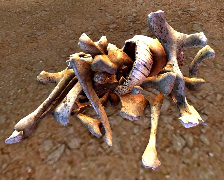 File:Dusty Bones.jpg