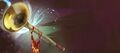 Gem Store banner