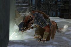 Rava Slatewelder.jpg