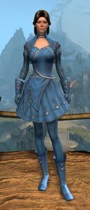 Appearance on light armor.