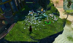 Shrimpy location.jpg