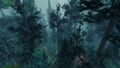 Thumbnail for version as of 19:54, 16 March 2025