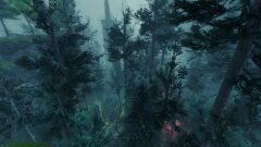 South Barrens.jpg