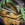 Strider's Spaulders.png