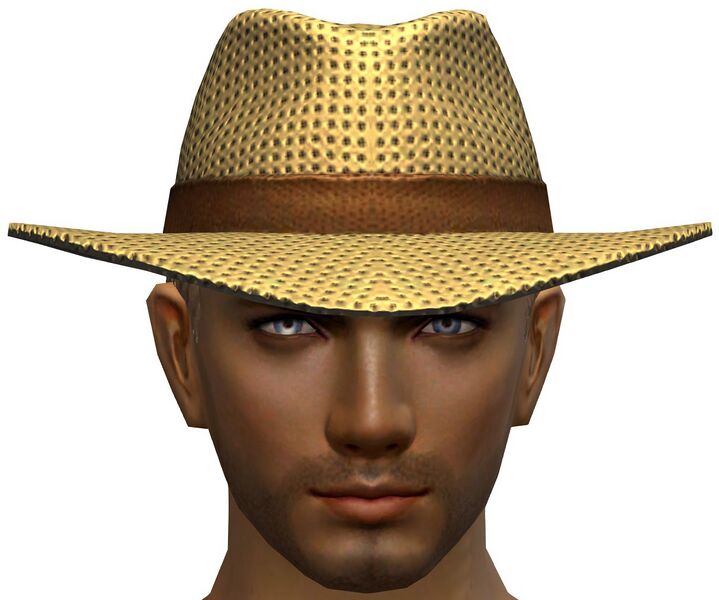 File:Beach Hat male.jpg
