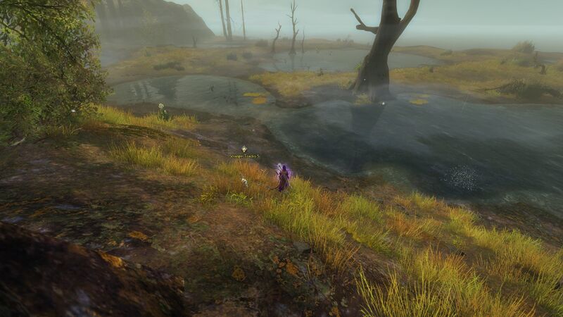 File:Cryptid Chase 6 location.jpg