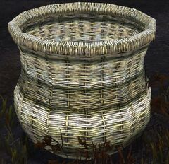 Debris Collection.jpg