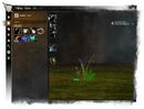 Tools tab