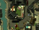 Little-foxes-in-the-big-city-23.jpg