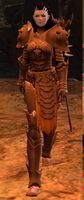 Mercenary human female heavy 4 (bandit sword and shield).jpg