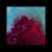 Narcotic Spores.png