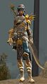 Sunspear heavy female 2.jpg