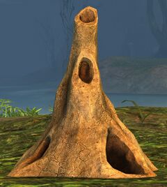 Termite Mound.jpg