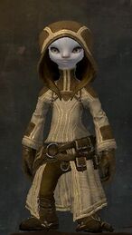 Traveler's Outfit