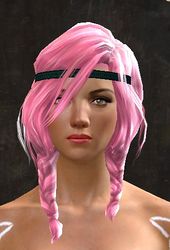 Unique norn female hair front 13.jpg