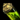 Vial of Hylek Absinthe.png