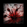Destroy Shadow Trap.png