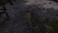 Skill animation (open to play).
