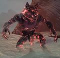 Fallen Wolf Shaman.jpg