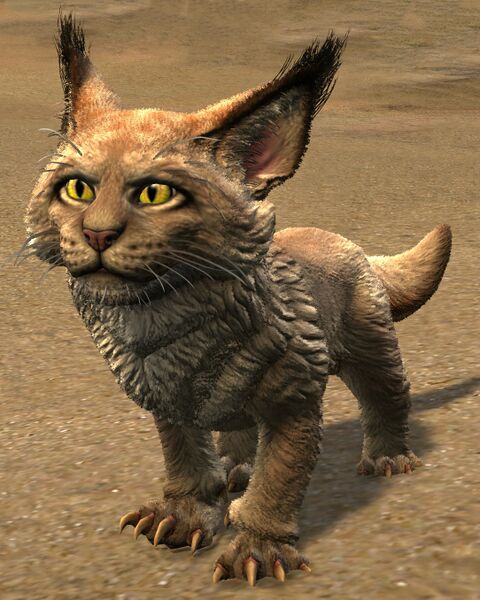 File:Warclaw Cub (orange).jpg