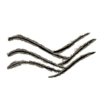 A Carved Path symbol 8.png