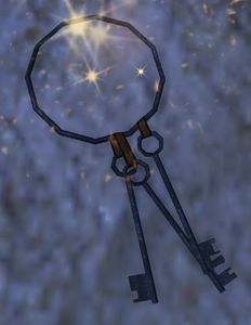 Cage Key.jpg