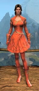 Appearance on light armor.