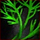 Dill Sprig.png