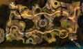 Thumbnail for version as of 00:29, 17 April 2022