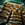 Drover Leggings.png