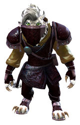 Duelist armor charr female front.jpg