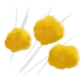 Gem Store icon